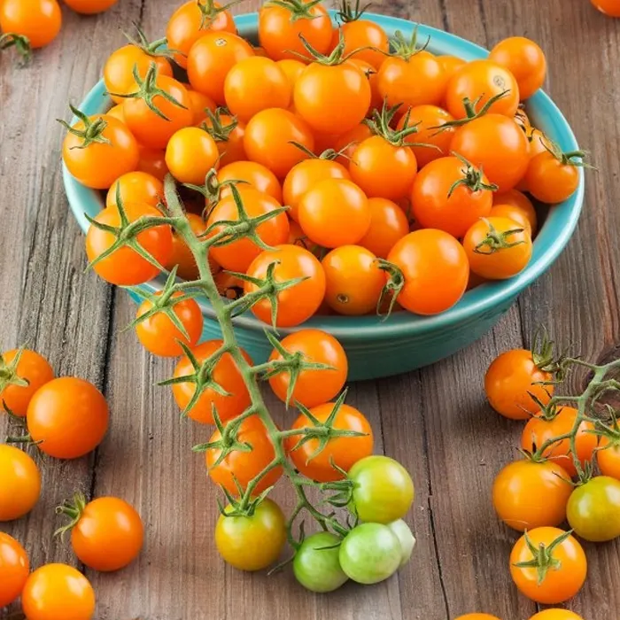 Orange Tomato Cherry6