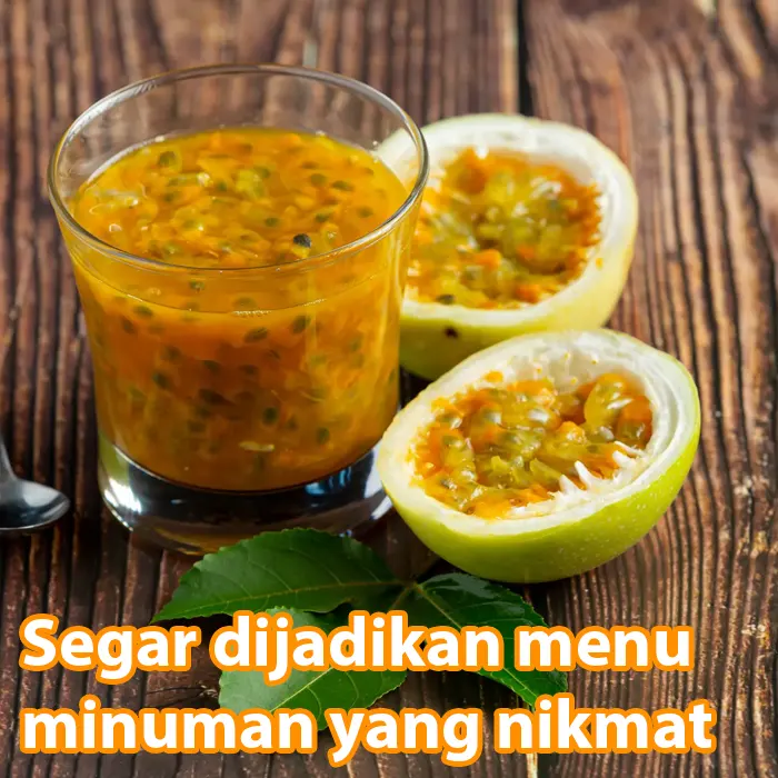 markisa kuning9
