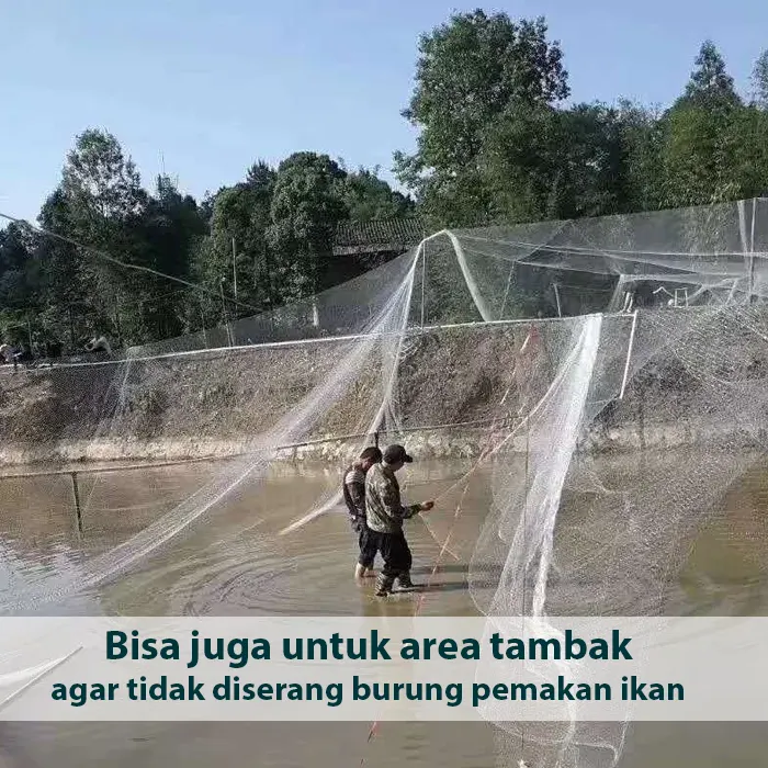 burung2