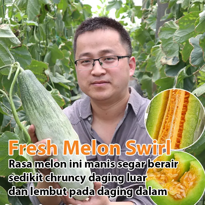 melon croissant