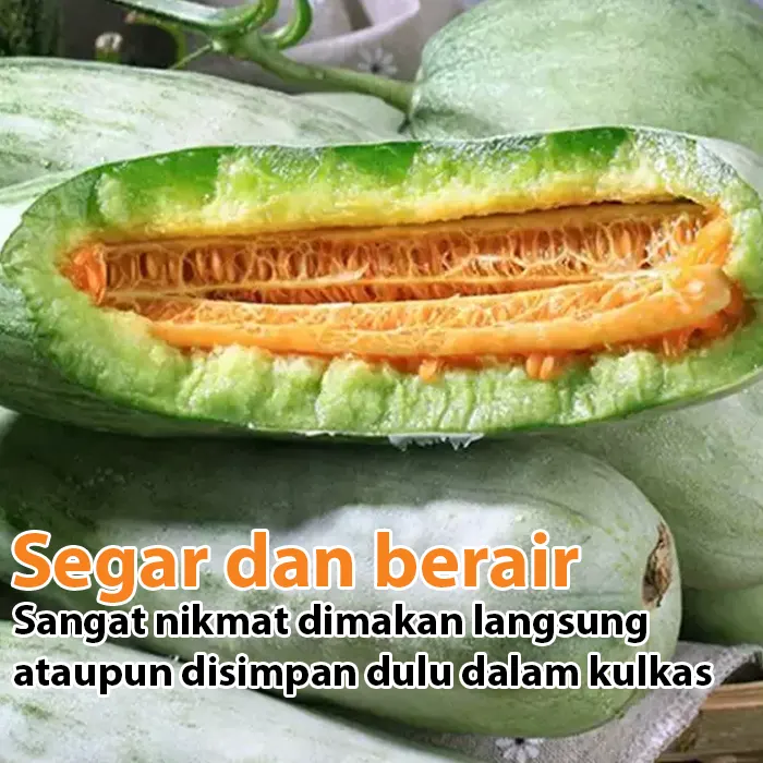 melon croissant4