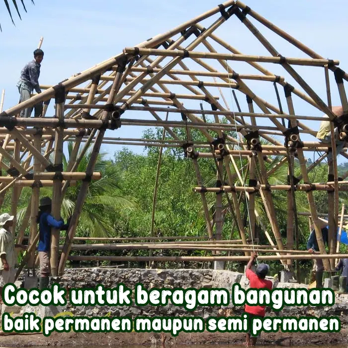 bambu3.webp
