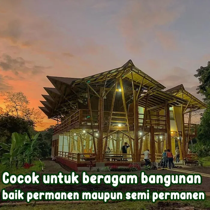 bambu4.webp