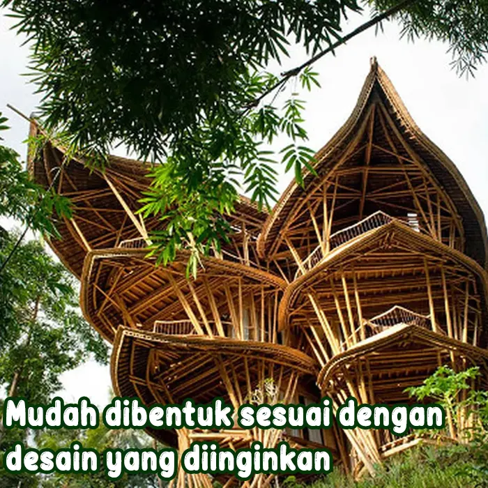 bambu5.webp