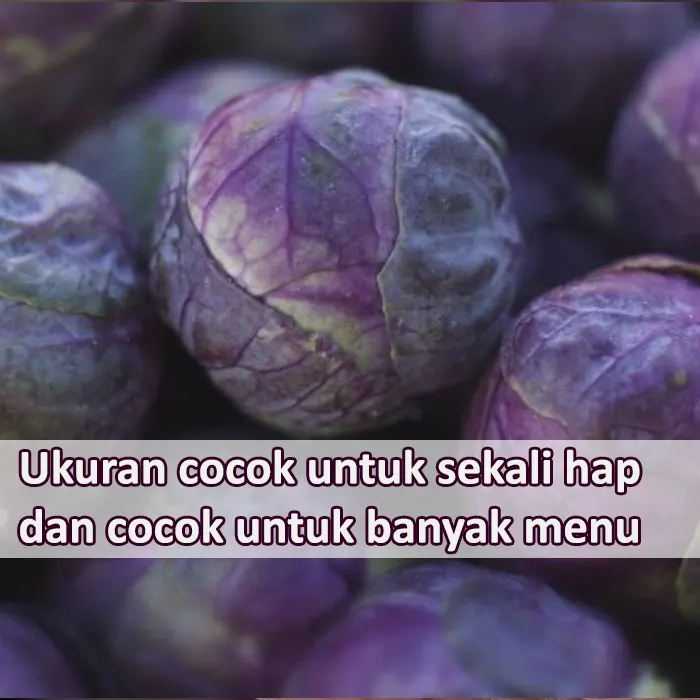 brusel ungu4