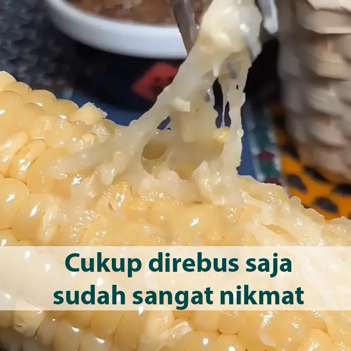 jagung pulut7