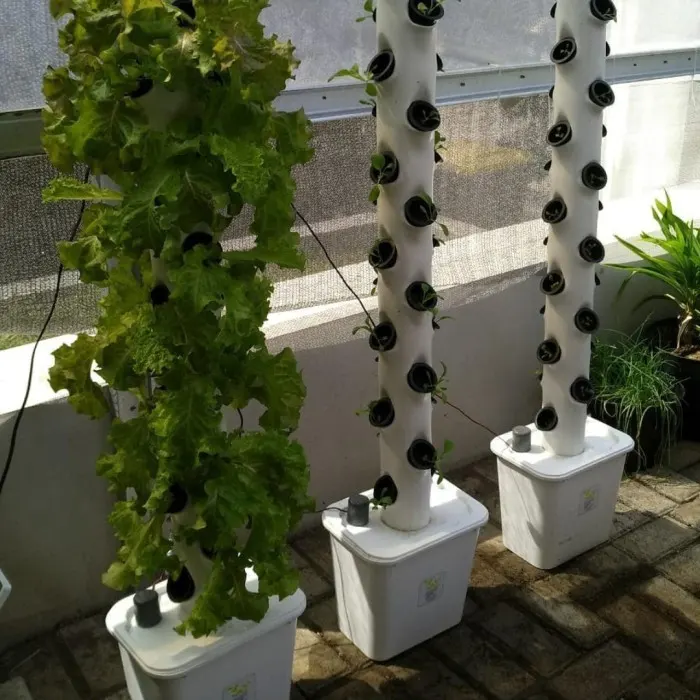 plant urban tower2