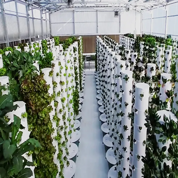 plant urban tower4