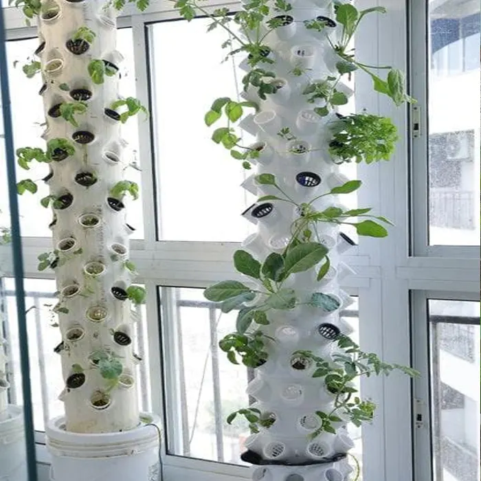 plant urban tower5