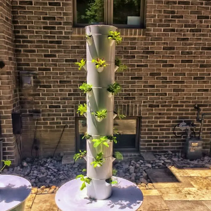plant urban tower6
