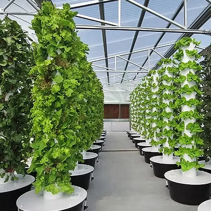 plant urban tower9
