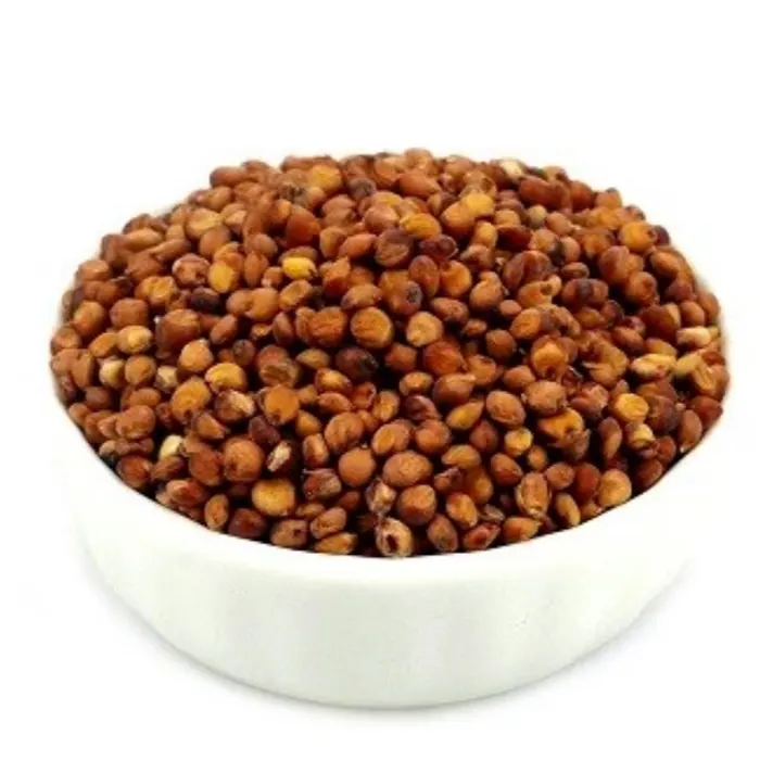sorgum5