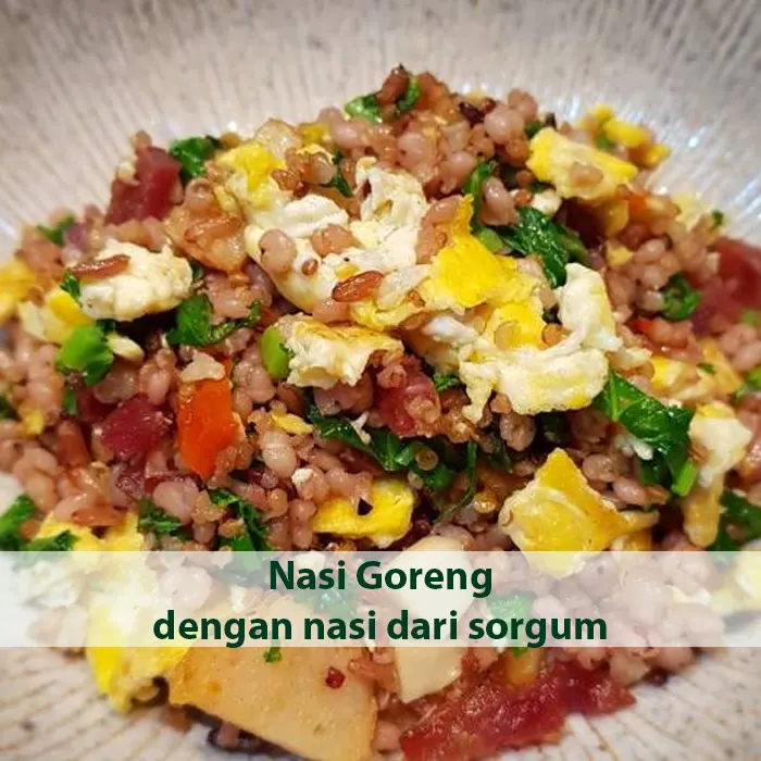 sorgum7