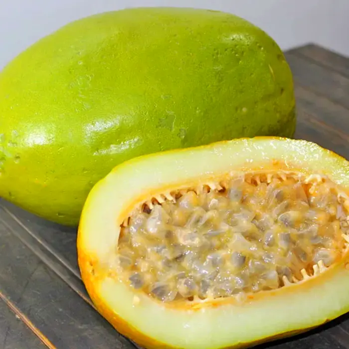 markisa jumbo
