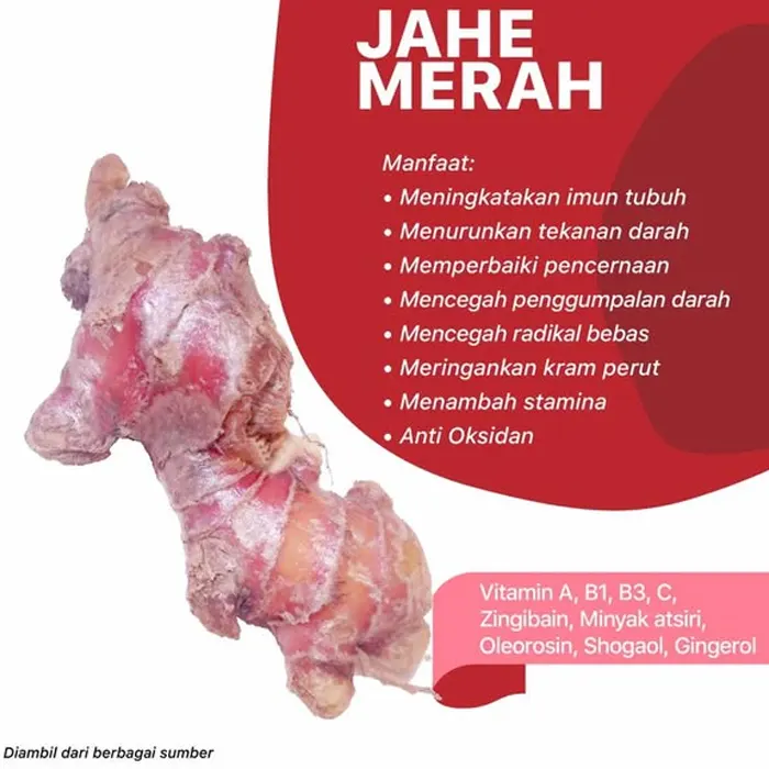 jahe merah5