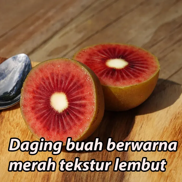 red kiwi5