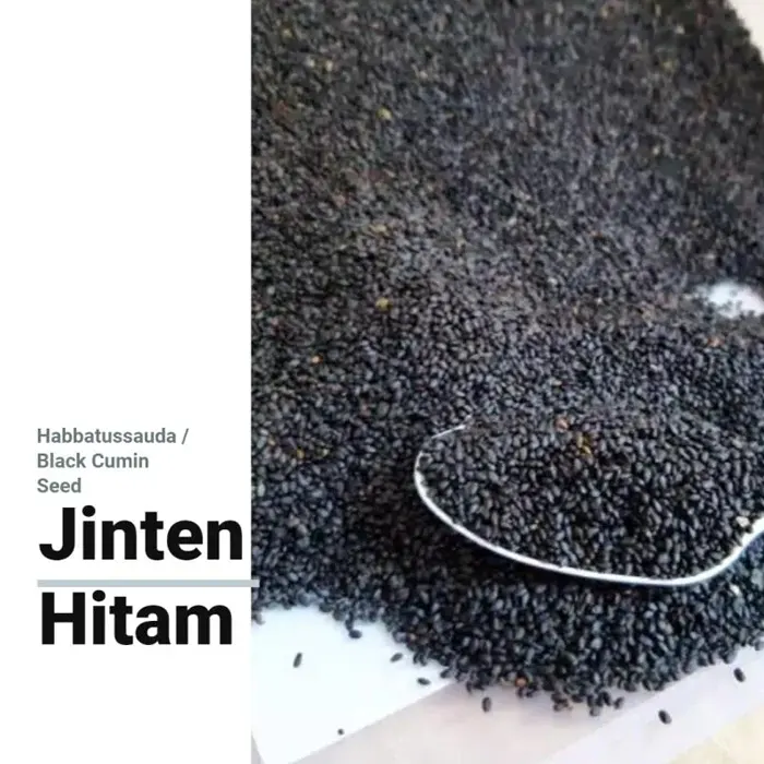 jintan hitam2