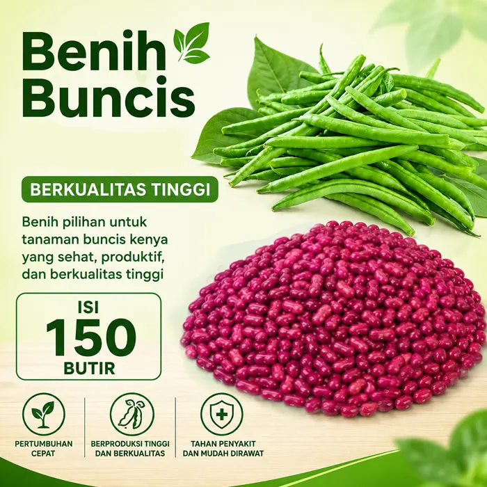 baby buncis6