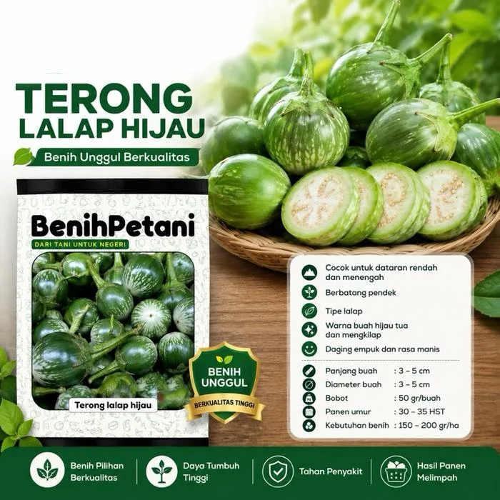 terong lalap
