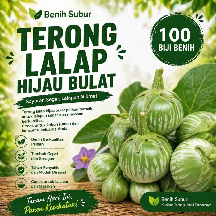 terong lalap6