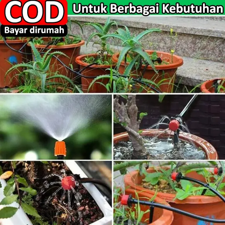 garden6