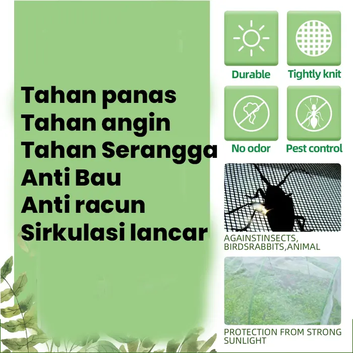 insect net4