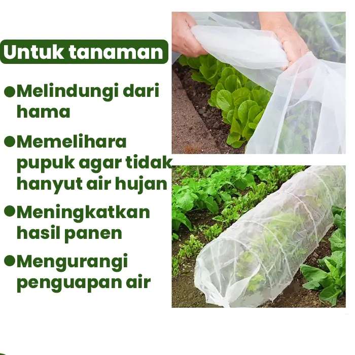 insect net5
