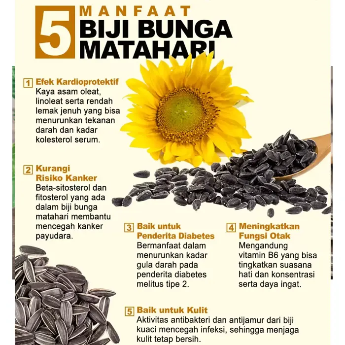 matahari3