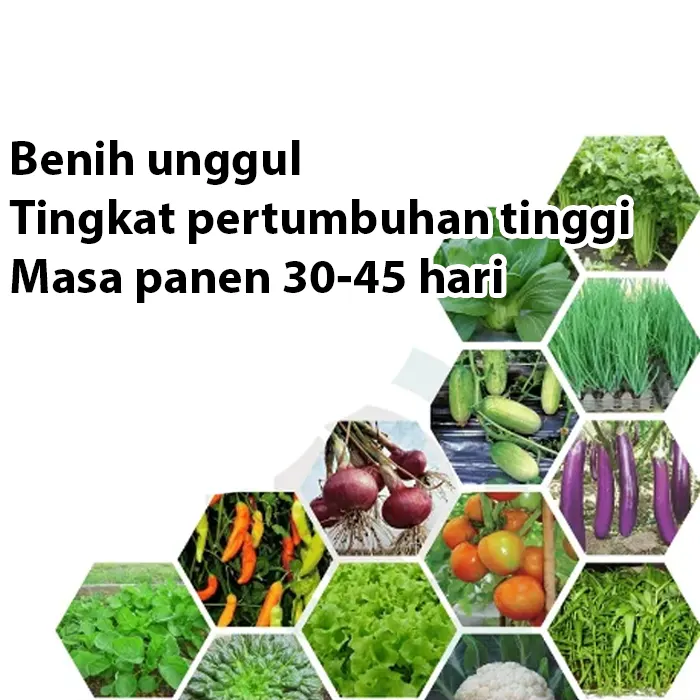 Paket Benih NF – aneka-benih.com