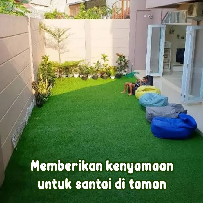 Rumput gajah mini aa aneka benih